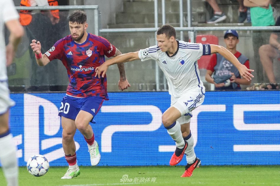 快速成长的 快速成长的